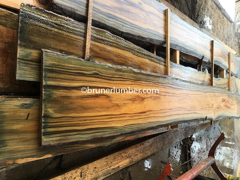 Sinker Cypress 031.jpg