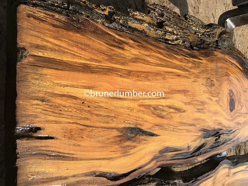 Sinker Cypress 038.jpg