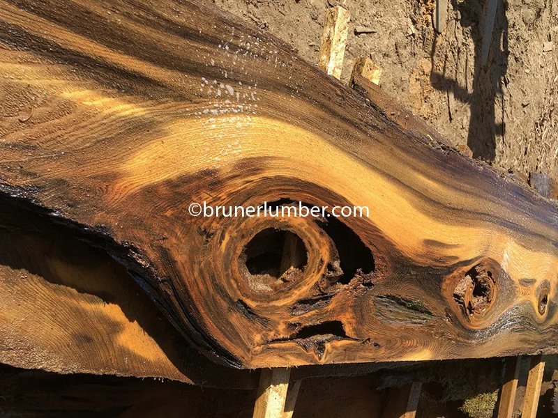 Sinker Cypress 046.jpg