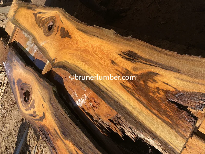 Sinker Cypress 052.jpg