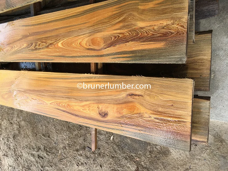 Sinker Cypress 058.jpg