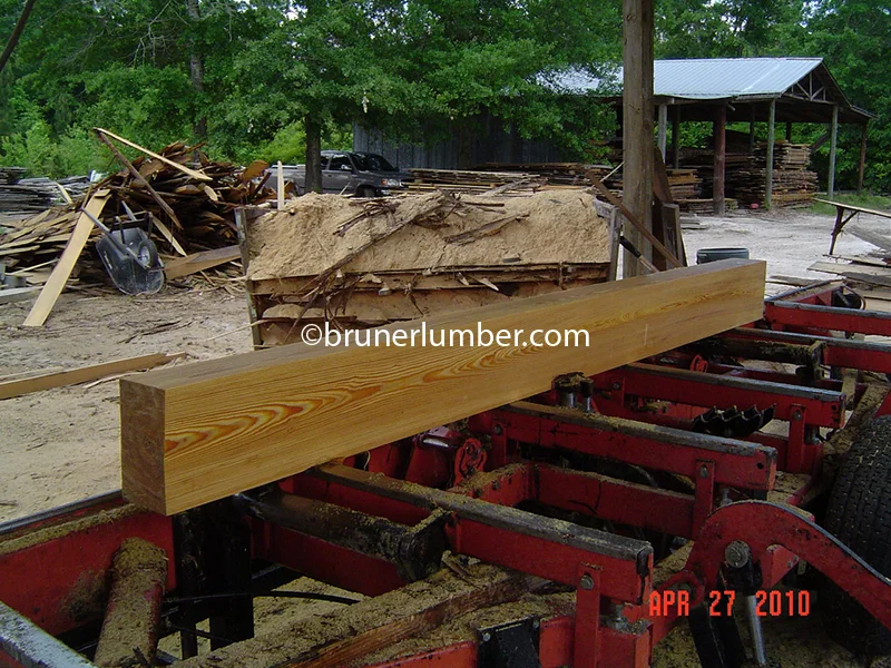 Sinker Pine 004.jpg