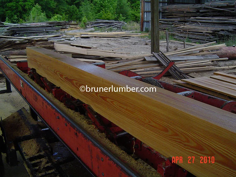 Sinker Pine 005.jpg