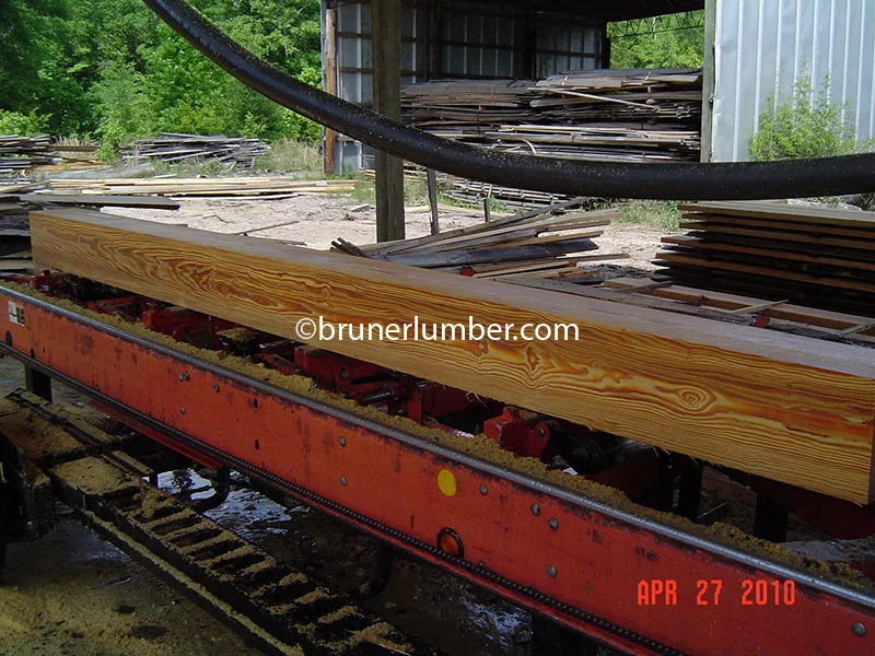 Sinker Pine 010.jpg