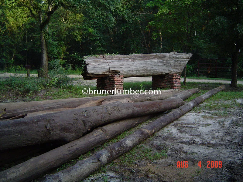 Sinker Pine Log 002.jpg