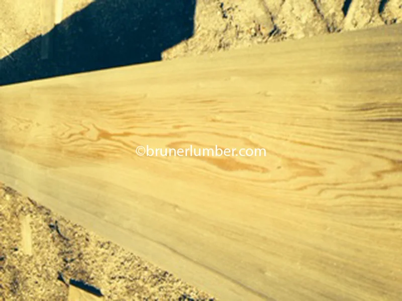 Tidewater Cypress 015.jpg