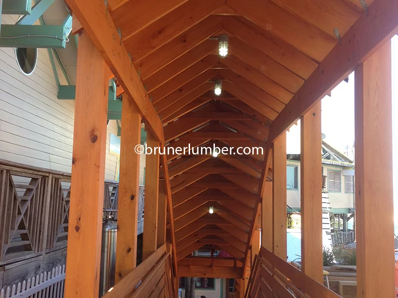 Tidewater Cypress 004.jpg