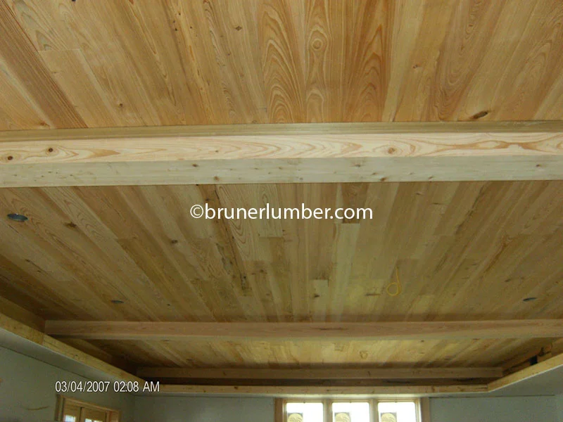 Tidewater Cypress 006.jpg