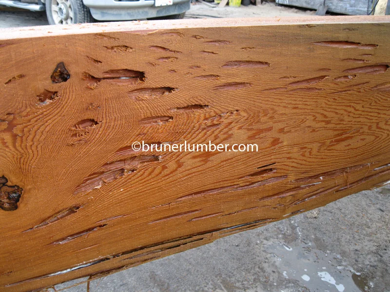 Pecky Sinker Cypress 008.jpg