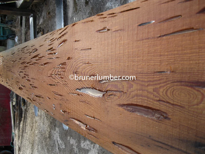 Pecky Sinker Cypress 010.jpg