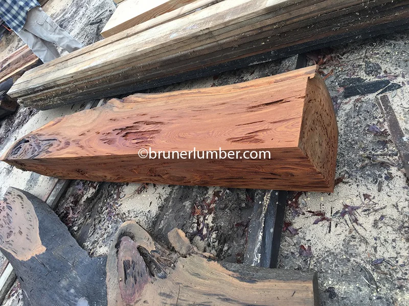 Pecky Sinker Cypress 053.jpg