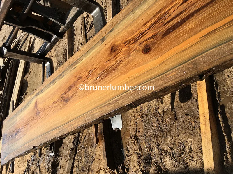 Pecky Sinker Cypress 063.jpg