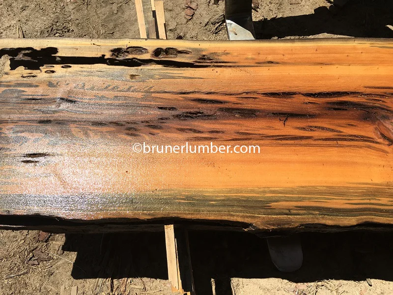 Pecky Sinker Cypress 077.jpg