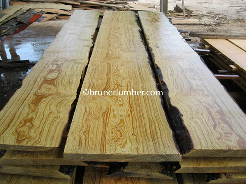 Curly Sinker Pine 022.jpg