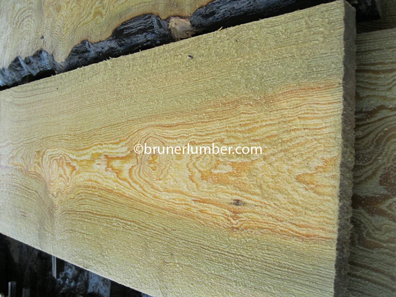 Curly Sinker Pine 028.jpg