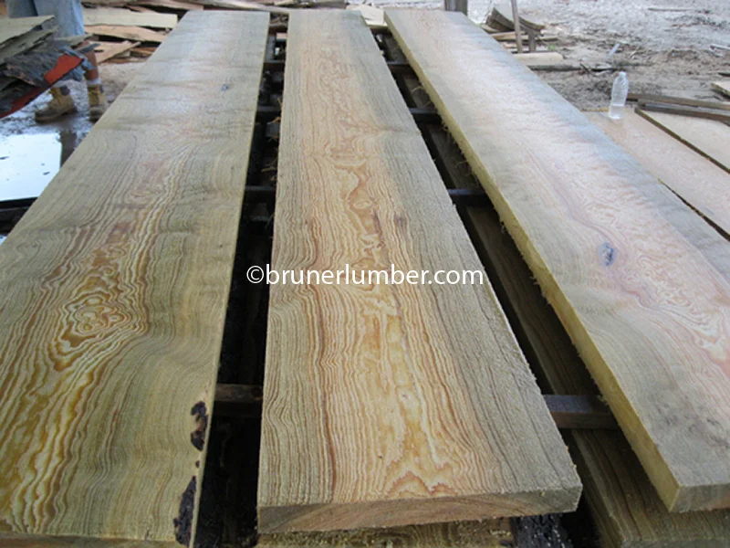 Curly Sinker Pine 032.jpg