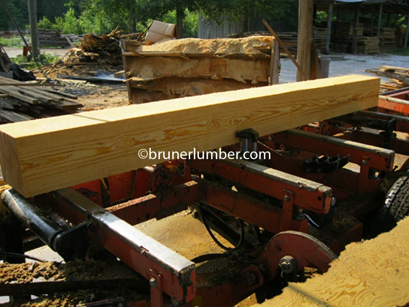 Curly Sinker Pine 033.jpg