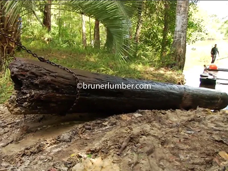Sinker Cypress Log 007.jpg