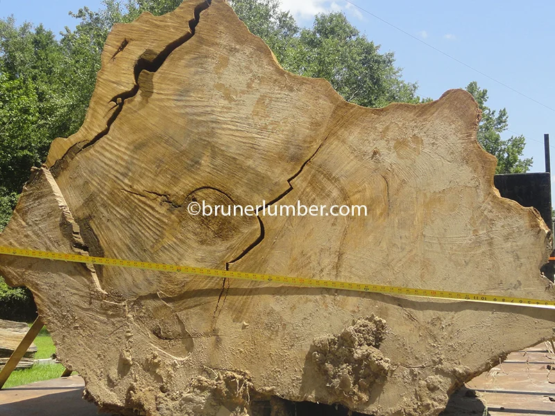Sinker Cypress Log 008.jpg