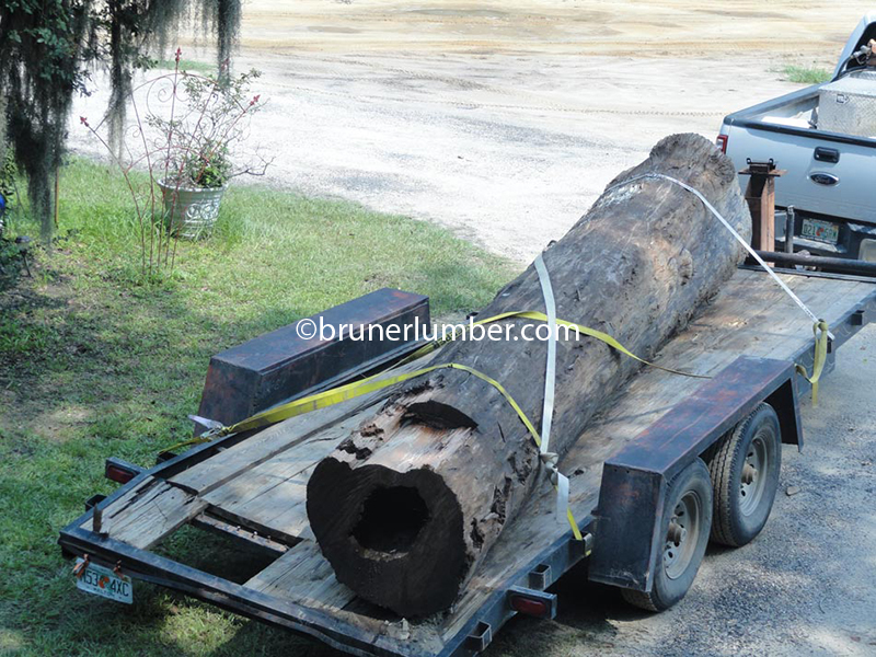 Sinker Cypress Log 009.jpg