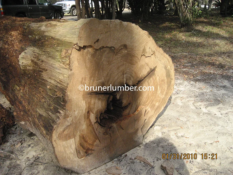 Sinker Cypress Log 012.jpg