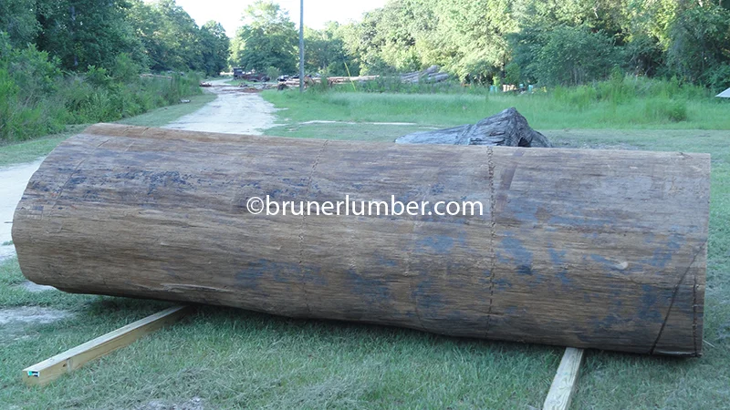 Sinker Cypress Log 013.jpg