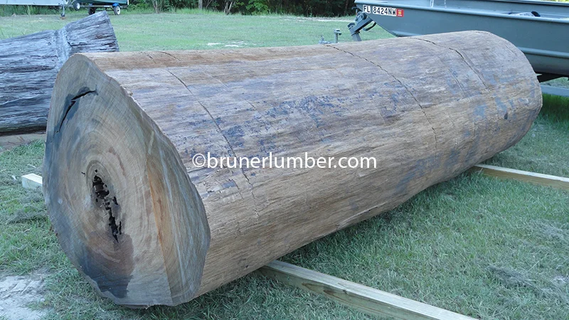 Sinker Cypress Log 014.jpg