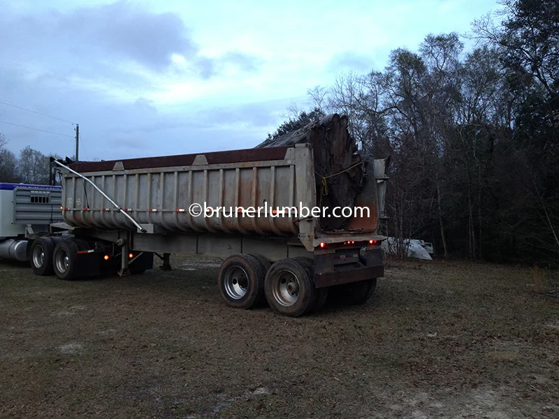 Sinker Cypress Log 015.jpg