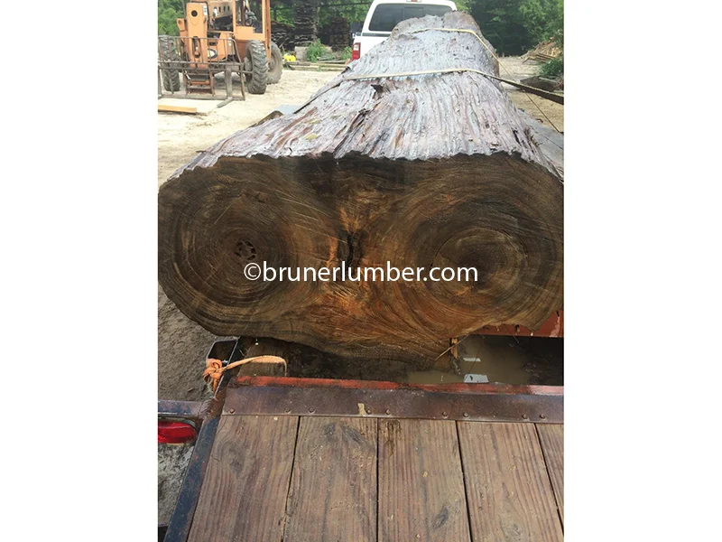 Double Barrel Sinker Cypress 01.jpg