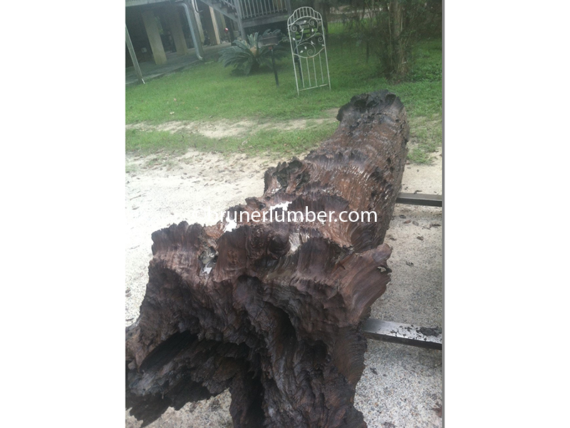 Knobby Sinker Cypress 002.JPG