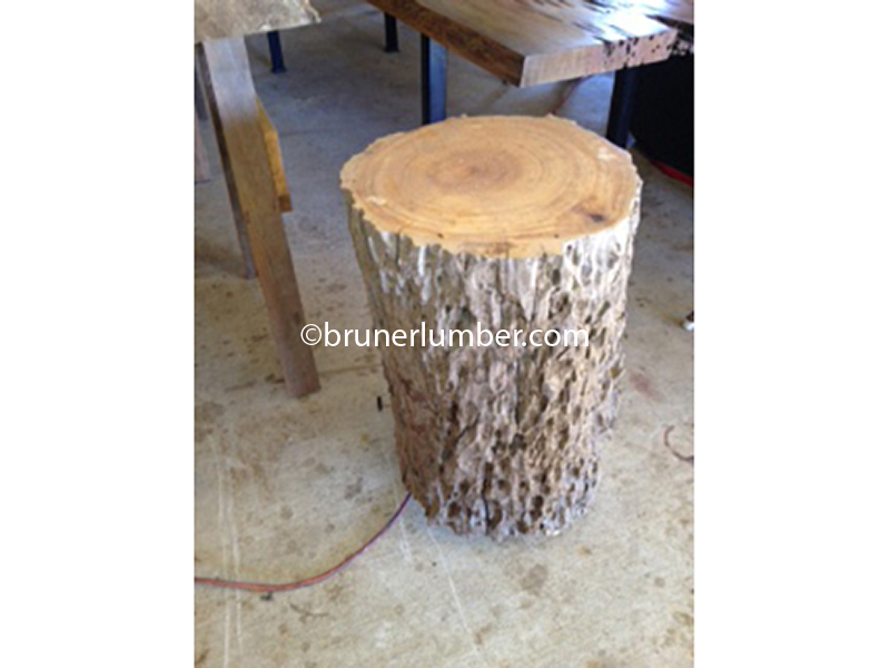 Cypress & Pine Stumps — BRUNER LUMBER