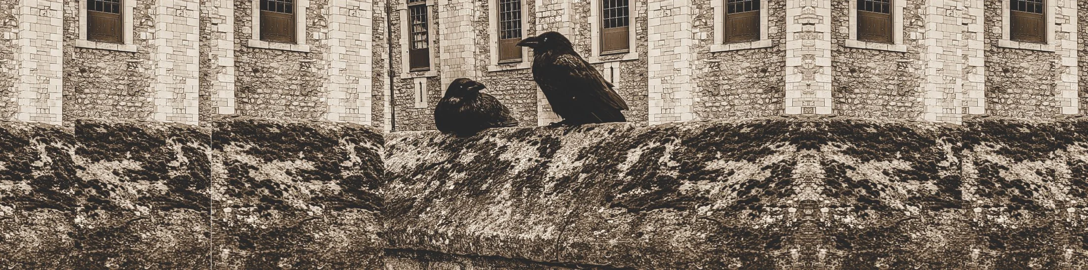 The Trevor B. Power Band Two Crows.jpg