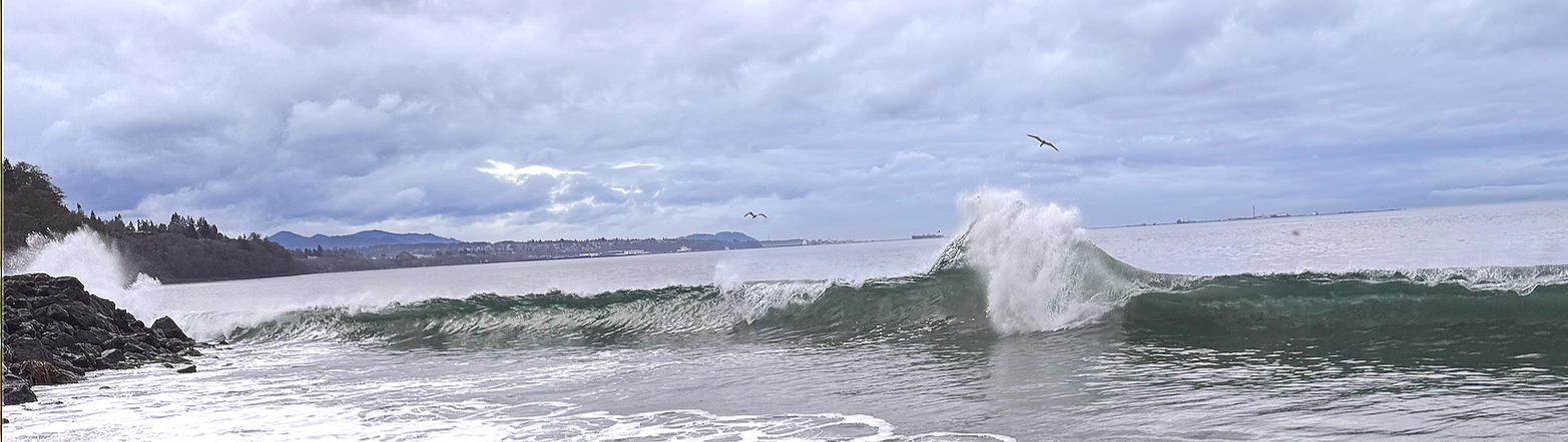 Screenshot 2026-01-20 at 11.44.53 AM.png