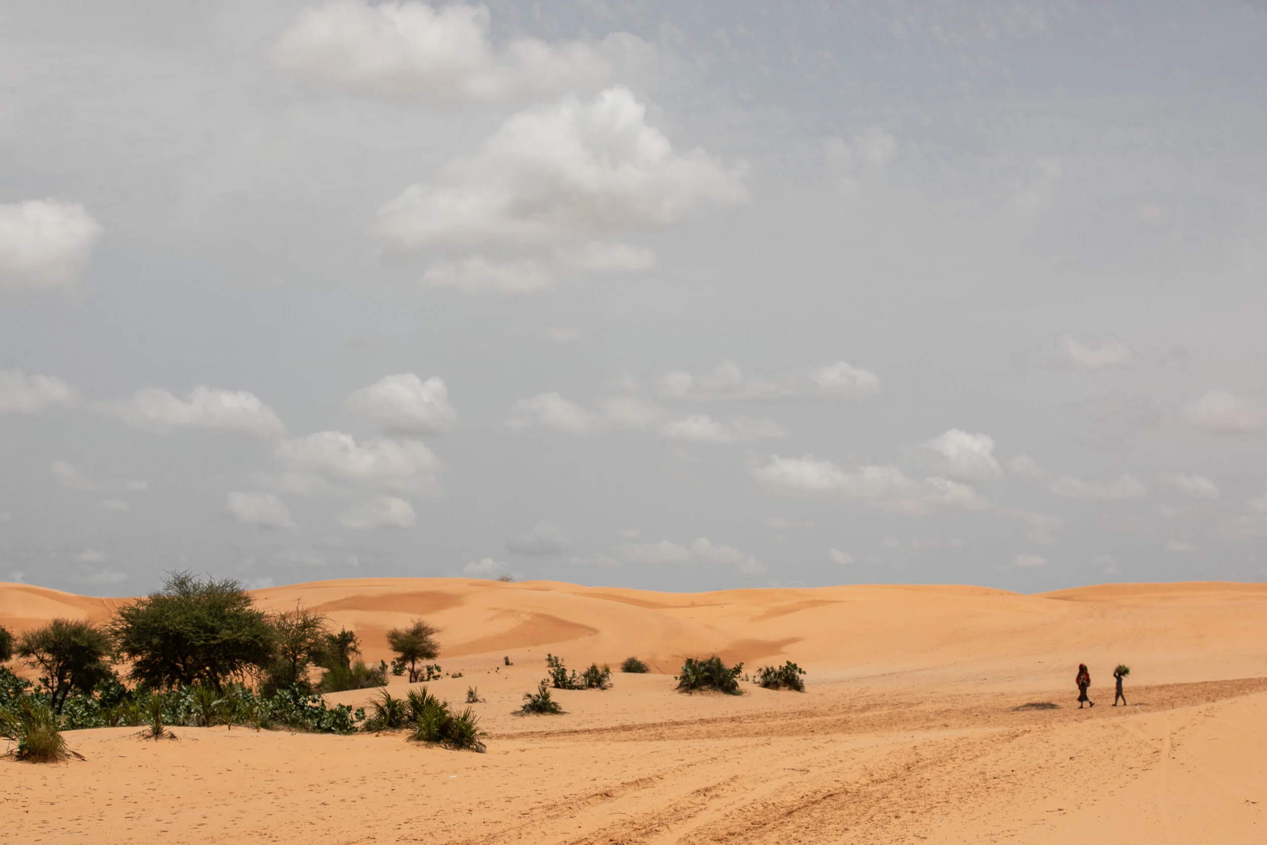  The sand dunes of Tulo Tulo villages in Yusufari, Yobe State. 