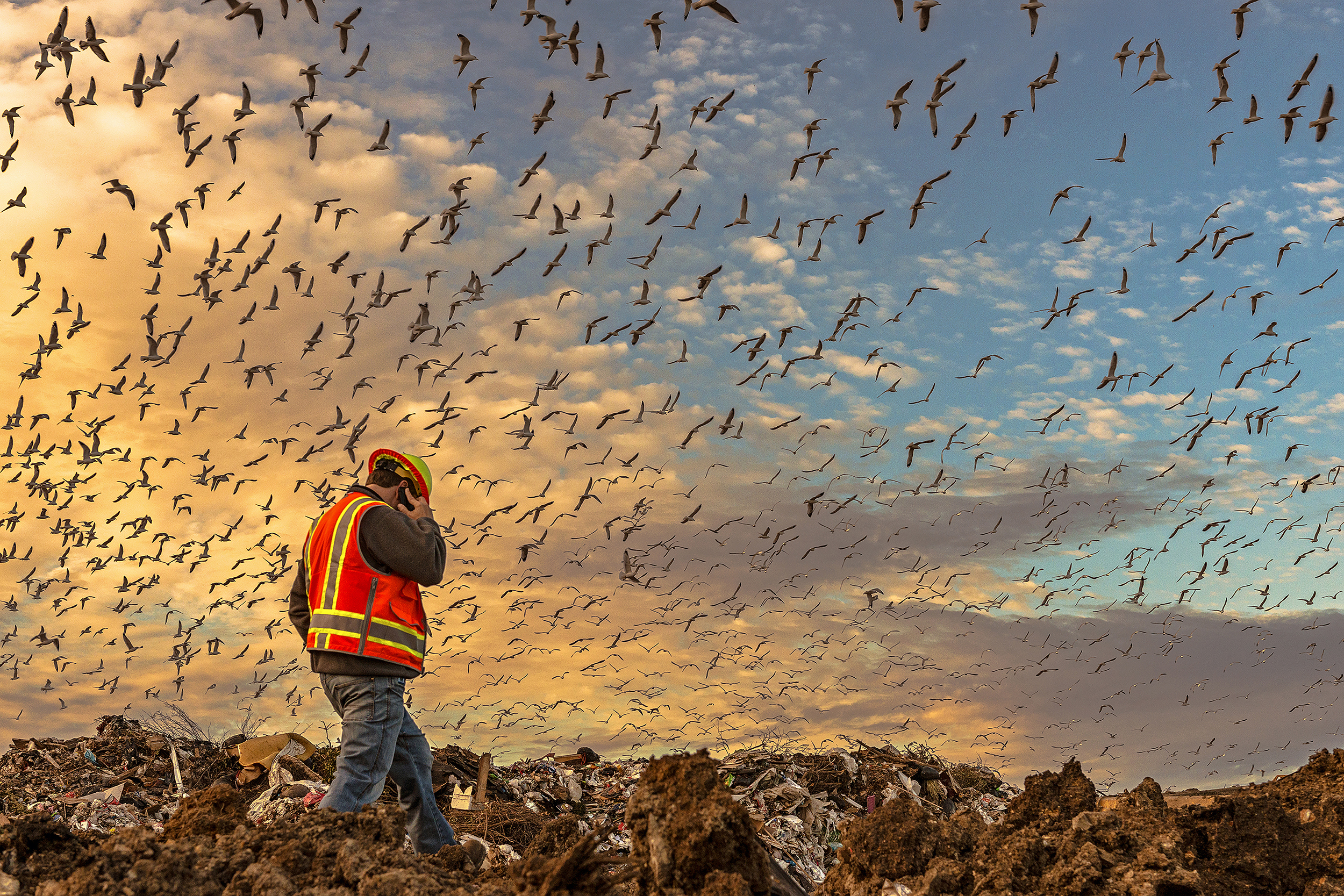  Senior landfill engineer Richard Akin fields a call while treading atop a 500-foot-tall mountain of waste at the McCommas Bluff Landfill in Dallas, TX.  Akin said the landfill ingests roughly 6,000 tons of waste daily, with 500 gas wells pumping out