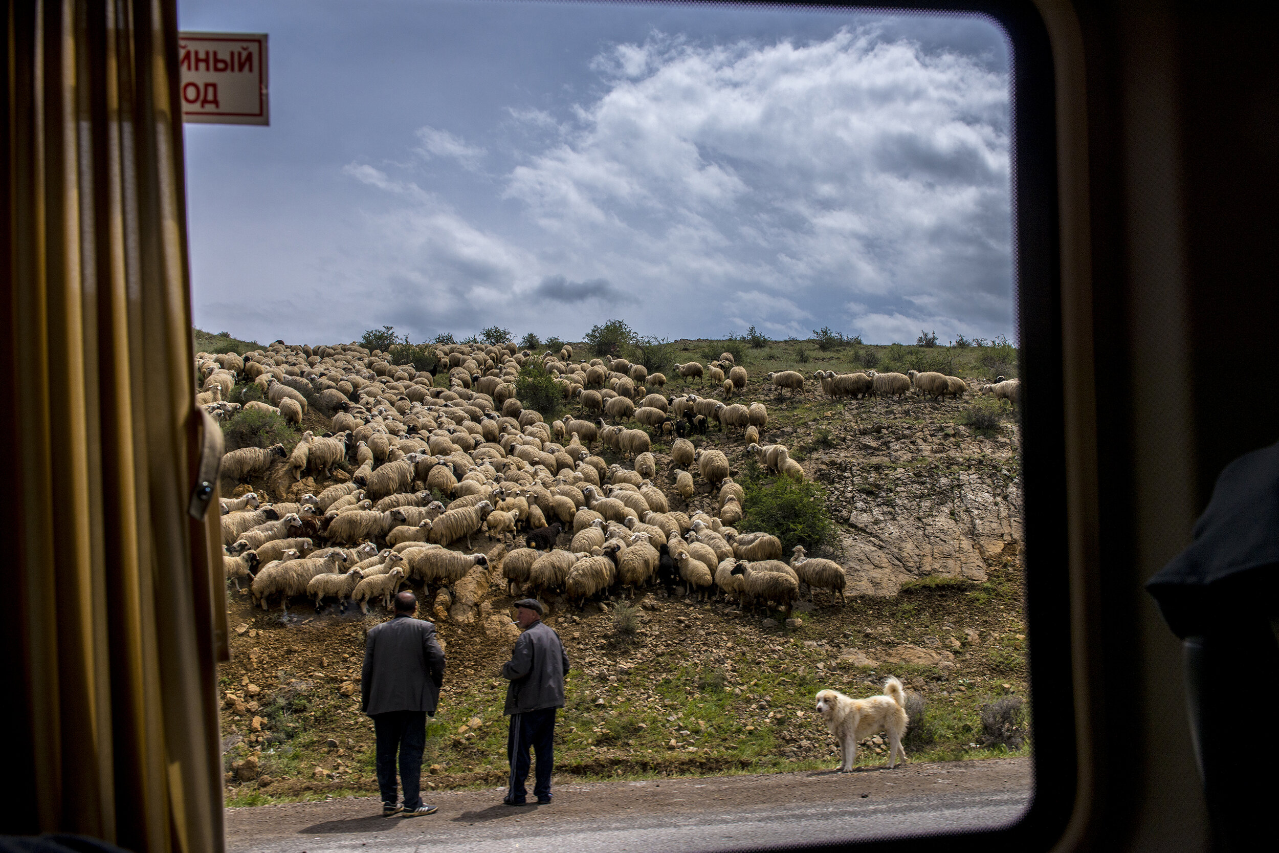  Shepherds herd a flock of sheep near the Lachin corridor, a mountainous pass connecting the NKR to Armenia.  The NKR had a state-of-the-art airport, but Azerbaijan threatened to shoot down all air traffic.  With its sheer cliffs and hairpin turns, t
