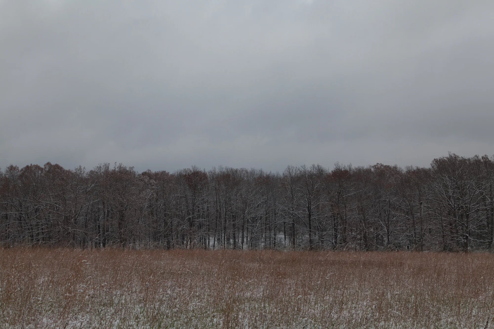 winterhorizon.jpg