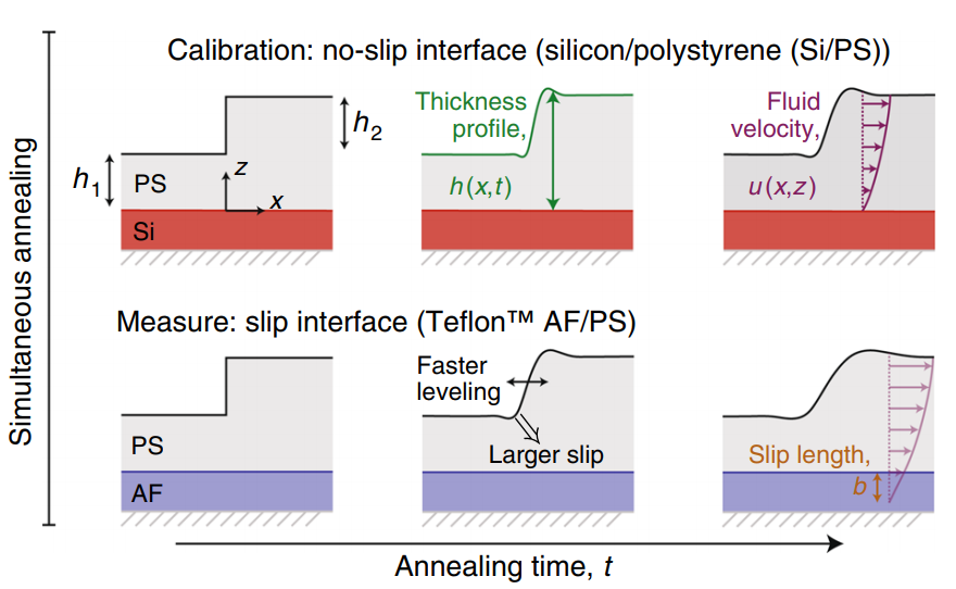 Adsorption-induced slip inhibition for polymer melts on ideal substrates