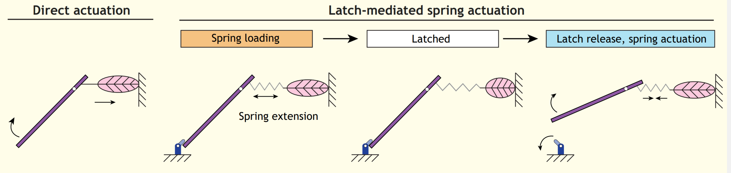 Beyond power amplification: latch-mediated spring actuation is an emerging framework for the study of diverse elastic systems