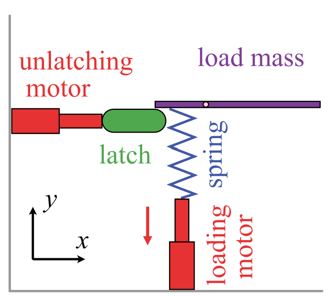 A Tunable, Simplified Model for Biological Latch Mediated Spring Actuated Systems
