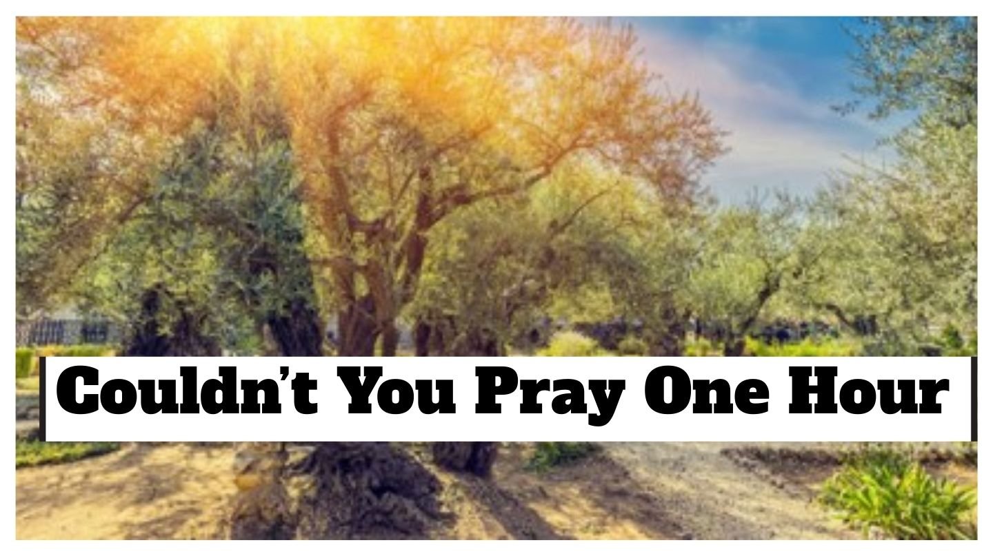 Crazy Like Us (1).jpg