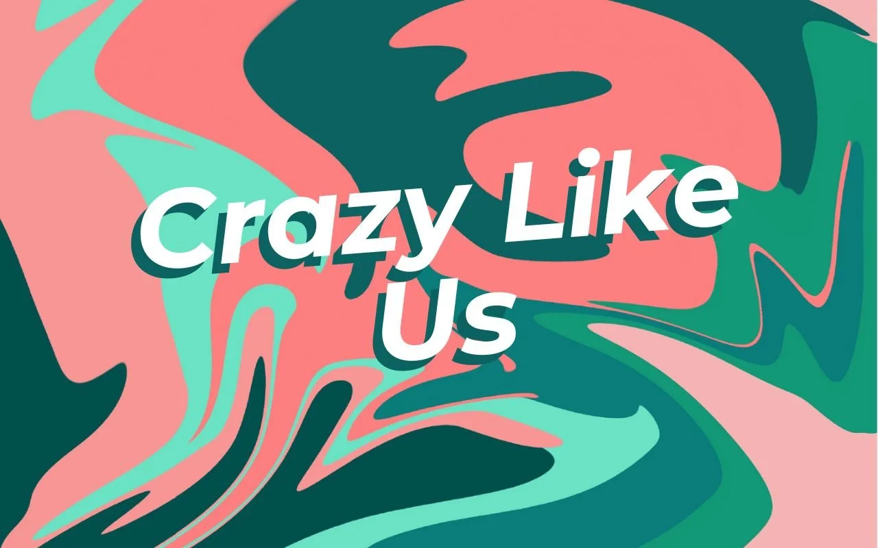 Crazy Like Us.jpg