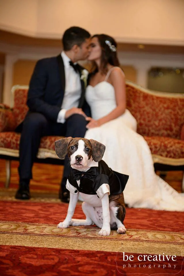 OliverWedding.jpg