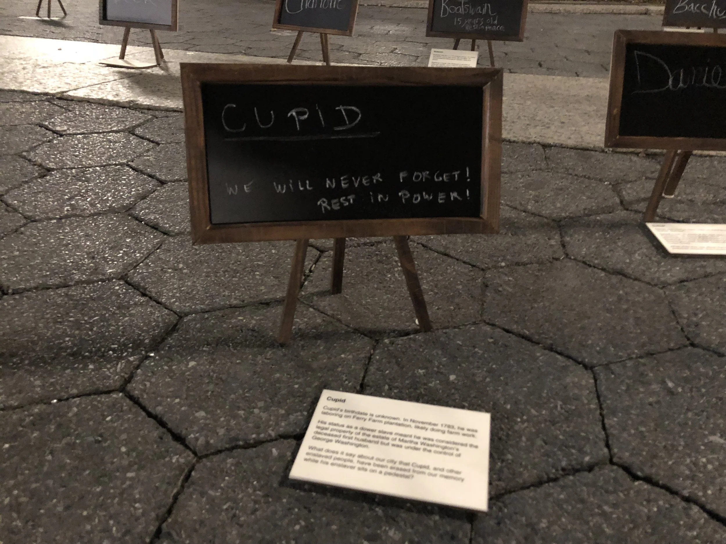 Image Credit: Sydney Johnson