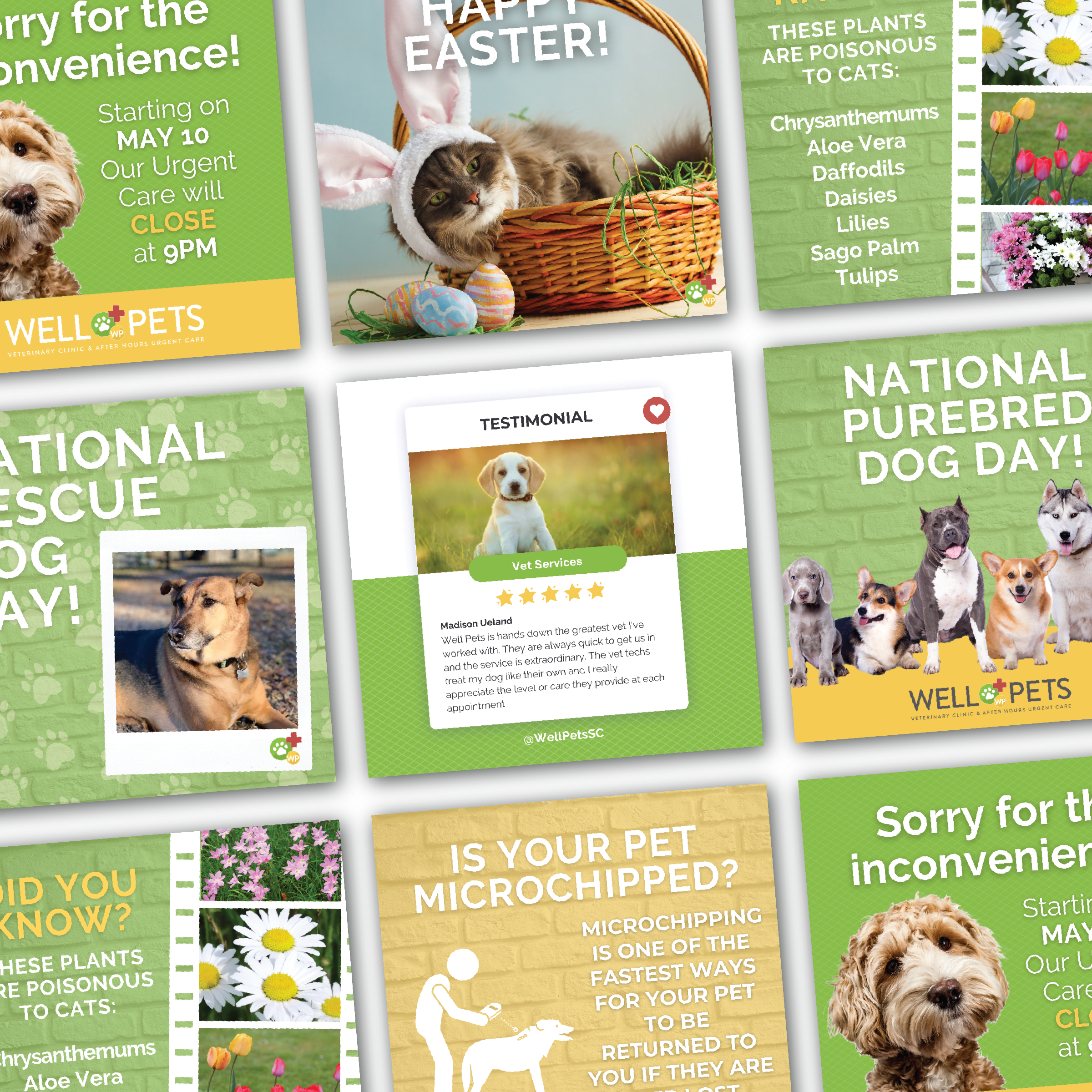 Well Pets Social Media Content-01.png