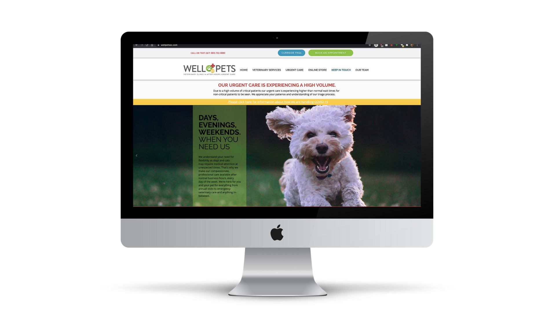 Well Pets Computer Mockup.png