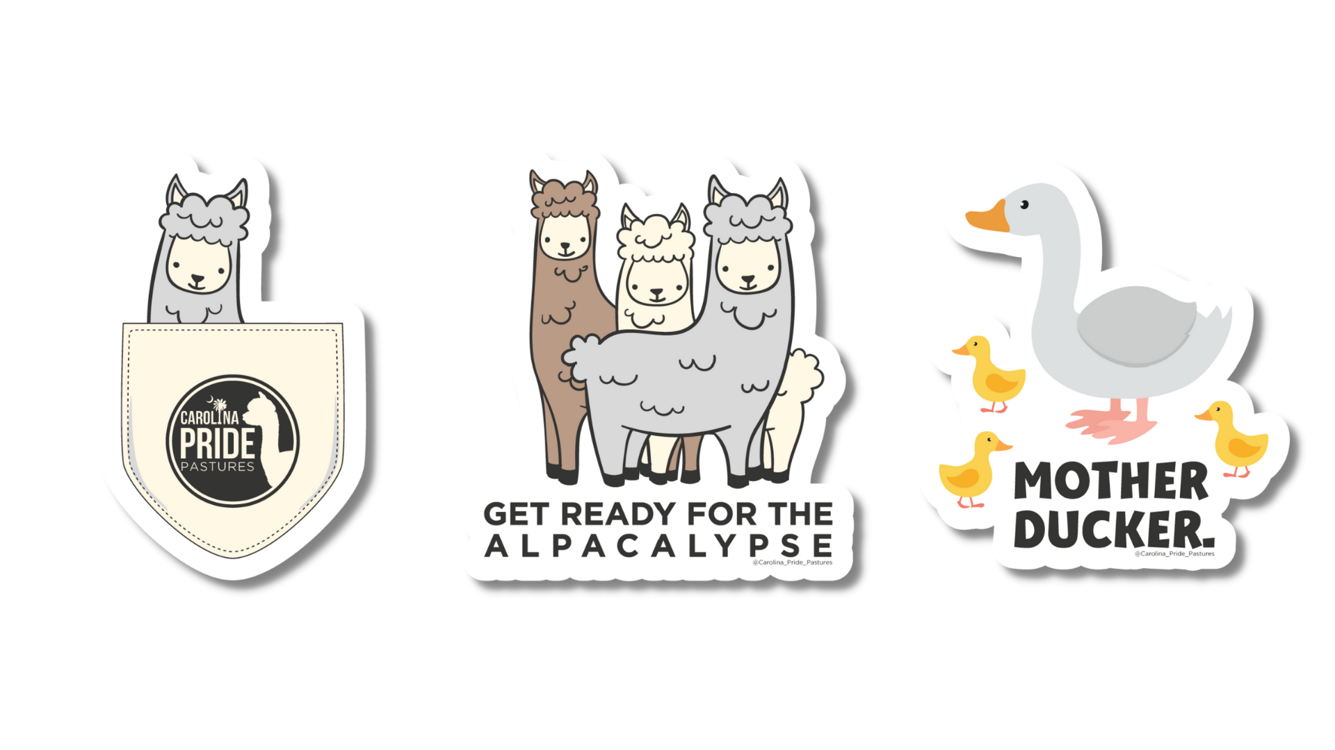 Carolina Pride Stickers 2.png