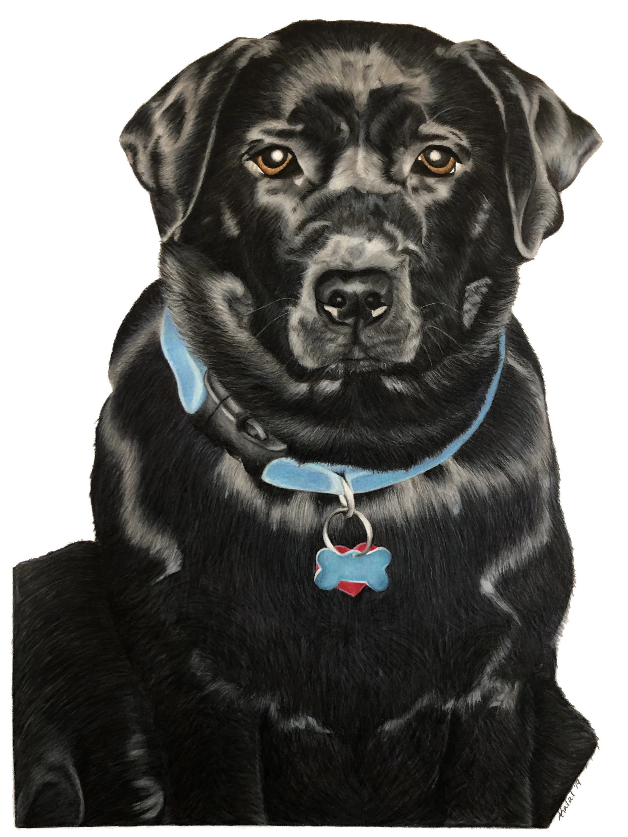 Waylon
