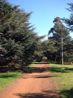 The Walk as it was envisaged.