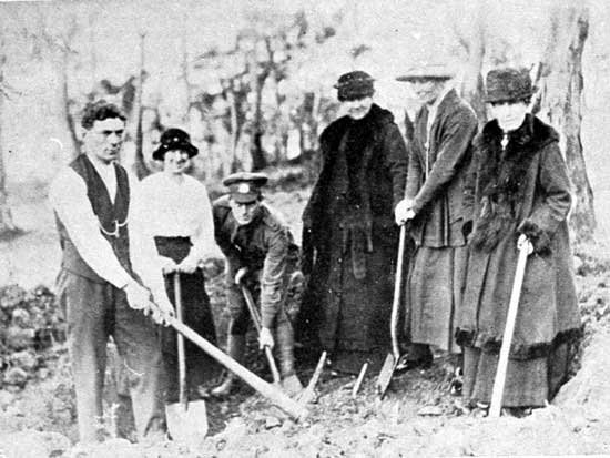   Members of the Wickins family preparing a spot for one of the 2 Wickins on the Walk, 6/7/1918.  [Tasmanian Mail 27th June 1918 p19] 